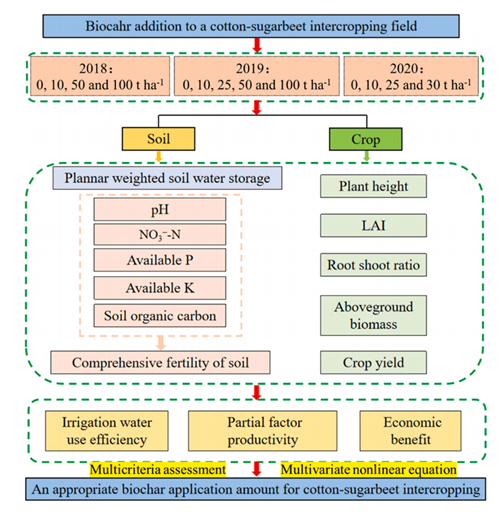 3aa48eec2faf45b28dceccd0d5dab0a3.png image.png