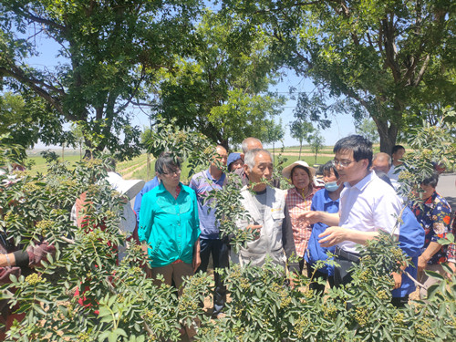 林91成人
刘永红副研究员讲解花椒种植技术_副本.jpg